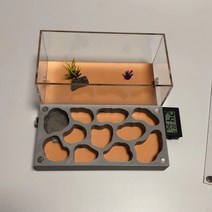 3D 개미 둥지 사육장 여왕 거미 알 키우기 관찰, 중간 H