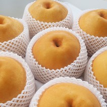 직거래농민장터 나주 신고배 배 당도선별 선물용 가정용, 나주배 7.5kg 9-10과 특대과 특품