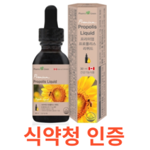 팜그린 프리미엄 프로폴리스 리퀴드 식약처 식약청 인정 인증 해썹 haccp 액상 타입 항산화 구강 항균작용 플라보노이드 17mg 캐나가 직수입 하루 2번 5방울 락토바실러스퍼멘텀#, 30mlX2개