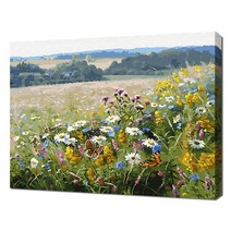 에코솔 셀프페인팅 에이번리 마을 들꽃핀 언덕 DIY 풍경화그리기 40 x 50 cm, 28색