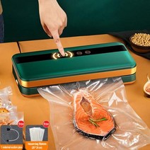 진공포장 가정용 듀얼 펌프 식품 진공 실러 그린 베스트 보호기 건식 습식, 04 AU 플러그_01 L_01 220V, 02 With 30 bags
