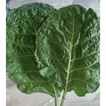 산지직송 유기농 케일 1kg 케일즙용 즙용케일 유기농케일 케일 쌈케일 케일유기농 쌈채소 친환경케일 쌈 kale 즙, 1개