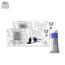윈저앤뉴튼 프로페셔널 수채물감 14ml 12색 A세트, WI019012B