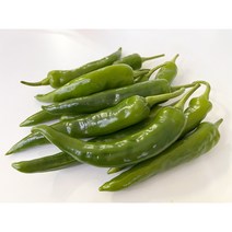 국내산 오이고추 아삭이 오이맛 고추, 오이맛 고추 한팩 (300g), 1개