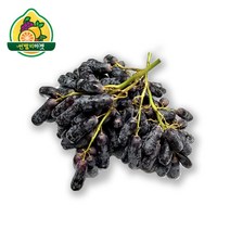 [썬밸리마켓] 칠레 블랙사파이어 가지포도 1kg, 상세 설명 참조