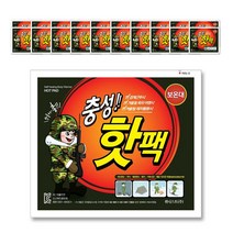 충성 핫팩 포켓용 대형 150g, 20개