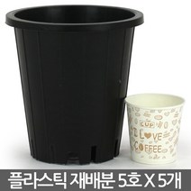 플라스틱 양란 재배분 4호(5개) - 화분 플분 양란 녹차 난화분 란화분 난재배분 양란화분 난재배 녹차재배분 긴화분, 02_청운_재배분(5호) X 5개
