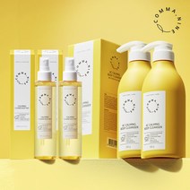 트러블 바디키트 깔라만시 바디미스트2개+바디워시2개 세트, 바디미스트 2개+바디워시 2개