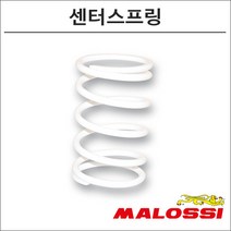 말로시 SR125 모타드 센터스프링 2911478 오토바이 스쿠터튜닝