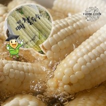 팜쿡 [팜쿡]괴산 삶은 대학찰옥수수 냉동 15개(팩당3개)