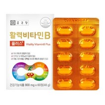 종근당 건강 활력 비타민 B 플러스 에너지 생성 단백질 비오틴 판토 텐산 나이 아신 엽산 수용성 바이타민 비티민 바타민 비군 식약 처 청 인증 인정 건강 기능 식품 추천 정품, 60정 (2개월분)