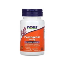 나우푸드 피크노제놀 100mg 베지 캡슐, 60정, 1개