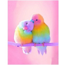 세진 DIY 보석십자수 3D 72가지 신제품 새로운 취미생활 보석 십자수 보석십자수, 34x44 무지개 앵무새, 1세트