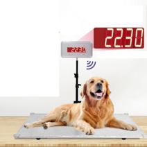 대형견 강아지 체중계 몸무게 저울 디지털 표시등, 상세 페이지 참고, 60x90cm 스틸저울 + 블루 LED