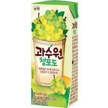 남양유업 과수원 청포도 190ml x24팩 2210201, 24팩
