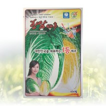 농사친구 항암배추 씨앗 600립 제일 씨 종자 김장 배추 무 채소 텃밭 베란다 모종 불암 토광 알타리 베타, 1봉