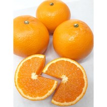 (과일천국1번지) 제주도 진지향 2kg - 1박스, 1개