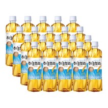웅진 하늘보리 500ml 20개
