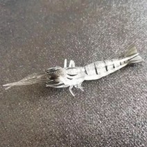 드론낚시 해양 바다 드론 새우 낚시 미끼 8.6cm/3.6g 인공 실리콘 살아있는 오징어 태클 액세서리 2 개, [01] 2pcs transparent