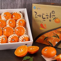 [명절선물] 특상 고당도 제주도 레드향, 1box, 레드향 선물용 3kg 대과 (9-11수)