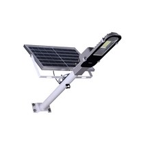 나이스조명 LED 태양광 뉴 가로등100W, 1개
