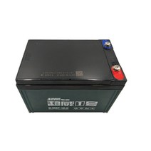 전동 휠체어 납산 배터리 12V12AH 6-DZM-12 DZF, Chaowei 12V 12A 충전기포함