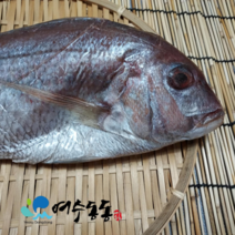 (여수동동) 국내산 참돔 1미당 30cm 내외/ 370g~400g 내외/ 와사비 믹스간장 증정, 중 30cm내외/370g~400g 3마리