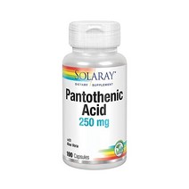 Solaray Pantothenic 판토텐산 250mg 비타민B5 100정