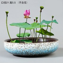 연꽃 수반 도자기 실내 연못 미니 정원 발코니 거실, 대형 블루 수배분 화분