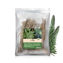 국내산 와송 건재 100g 말린 건와송 차 즙 엑기스 탕