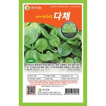 베이비샐러드다채씨앗 10g GR, 없음, 1개