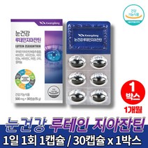 아이 루테인 지아잔틴 눈영양제 셀렌 제아잔틴 비타민 아이루텐 아연 LUTEIN 헤마토코쿠스 빌베리 블루베리 결명자 추출물, 1박스