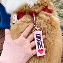 강아지 인식표 애견 이름표 꼬꼬멍 가독성 좋은 네임택 등록번호, 하늘, 01꽉찬하트, 빨강