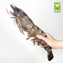 욜로켓 킹 블랙타이거 왕새우 1마리 골라담기, [Y30] 킹타이거140-179g 1마리