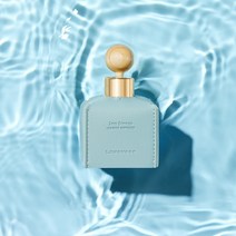 르몽도르 차량용 방향제 차량방향제 고급차량용디퓨저 자동차디퓨져 50ml 새차 신차선물, 1개, 씨브리즈