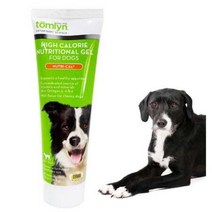 뉴트리칼 도그 비타민 미네랄 영양제/ 면역 반려동물 펫 애견