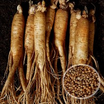 아시아종묘 민속산채 장뇌삼 산양삼 재배용 인삼씨앗 100g, 선택완료, 단품없음