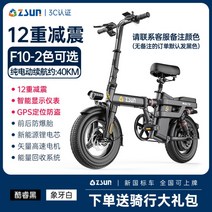 전동오토바이 전동자전거 전기자전거 zsun 접이식, F10 12단 충격흡수 GPS 8AH, 48V