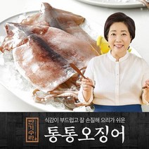 [유통기한 23년 6월 15일까지] 양희경 통통오징어 7팩(3미/290g), 단품