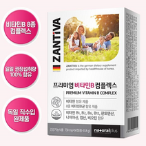 이명에좋은영양제 귀 귀울림 건강 잔티바 프리미엄 비타민B컴플렉스, 60정 x 3개