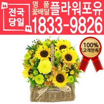 해바라기 꽃바구니 어버이날 스승의날 꽃다발 꽃배달 당일배송
