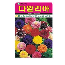 SN월드 씨앗 고급꽃씨 꽃씨앗, 고급 - 다알리아(100립)