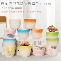 다육화분 다육이 심폴 화분 식물 미니 화분세트, 도자기, 옵션15