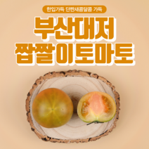 농장직송 부산 대저 짭짜리 토마토 짭짜리토마토 짭짤이 소과 2.5kg 5kg, 3.대저 짭짤이토마토 소(당도높음)5kg