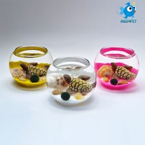 마리모 키우기 유리원형볼 8cm A형 DIY키트 세트 테라리움, 옥색