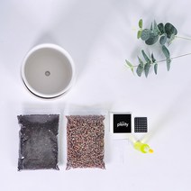 무광 원형 화분 13cm 15cm 18cm (3가지 사이즈) 우드스탠드(추가옵션) + 무료 상품 6가지, 12.18cm 블랙 + 우드스탠드 (05호)
