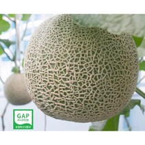 세지메론 고당도 머스크 세론이 멜론 11~13Brix 보통~특품 GAP인증 세지농협, 노랑박스(13Brix-특급) 1.25kg x 2통, 2개