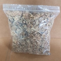 수태 500ml 칠레 수태
