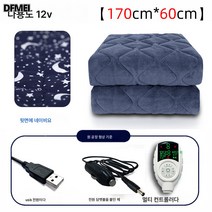 차량용 전기장판 1인용 USB 소형 저압직류 야외 캠핑매트 카방카 12V 전기요, 12V멀티Usb170*60, 하나