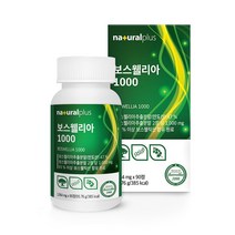 인도산 보스웰리아 90정 스테아린마그네슘 상어연골분말 비타민 동결건조녹색입홍합분말 N아세틸글루코사민